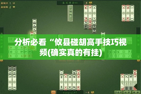 分析必看“攸县碰胡高手技巧视频(确实真的有挂) 分析必看“攸县碰胡高手技巧视频(确实真的有挂)