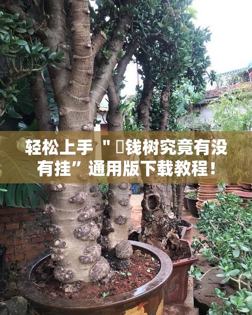 轻松上手 ＂揺钱树究竟有没有挂”通用版下载教程！