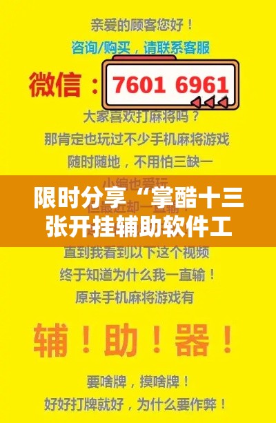 限时分享“掌酷十三张开挂辅助软件工具”附透视挂详细教程