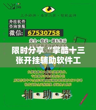 限时分享“掌酷十三张开挂辅助软件工具”附透视挂详细教程