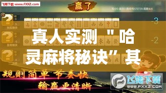 真人实测 ＂哈灵麻将秘诀”其实有开挂插件!