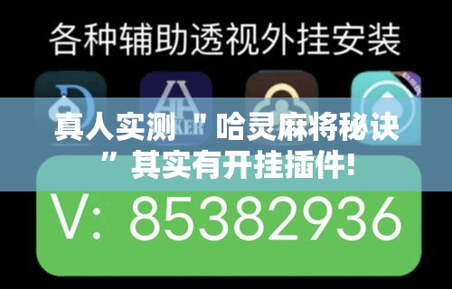 真人实测 ＂哈灵麻将秘诀	”其实有开挂插件!