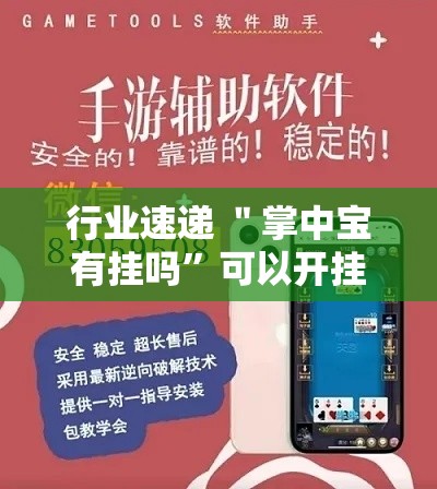 行业速递 ＂掌中宝有挂吗”可以开挂作弊