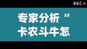 专家分析“卡农斗牛怎么抓到好牌最简单方法”(详细透视教程)