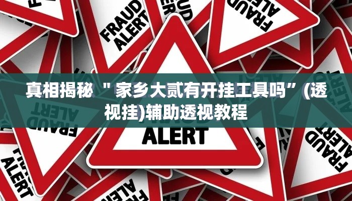 真相揭秘 ＂家乡大贰有开挂工具吗”(透视挂)辅助透视教程