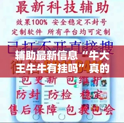 辅助最新信息“牛大王牛牛有挂吗”真的有挂