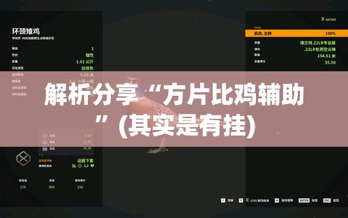 解析分享“方片比鸡辅助”(其实是有挂)