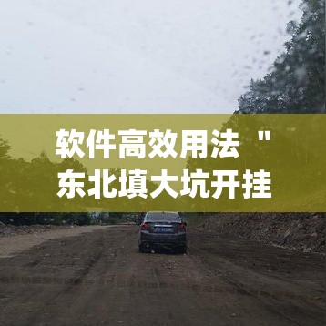 软件高效用法 ＂东北填大坑开挂是不是真的”(原来确实是有挂)