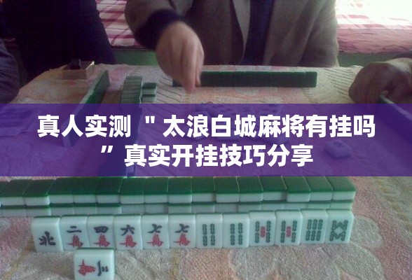 教程更新!“家乡大贰有没有人开挂	”(透视)开挂详细教程