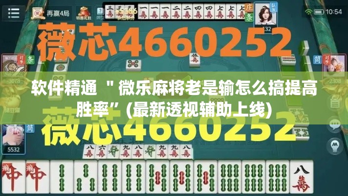 软件精通 ＂微乐麻将老是输怎么搞提高胜率”(最新透视辅助上线)