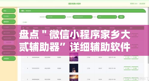 盘点＂微信小程序家乡大贰辅助器	”详细辅助软件教程