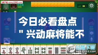 今日必看盘点 ＂兴动麻将能不能有挂”(透视曝光猫腻)