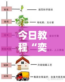 今日教程“奕胜是什么意思”附透视挂详细教程
