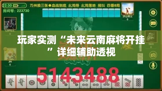 玩家实测“未来云南麻将开挂”详细辅助透视