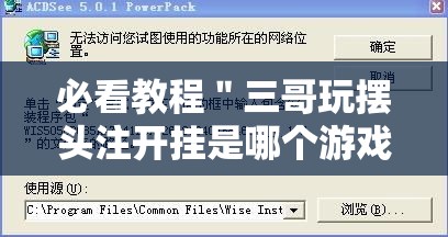 必看教程＂三哥玩摆头注开挂是哪个游戏”开挂辅助脚本+详细开挂安装教程