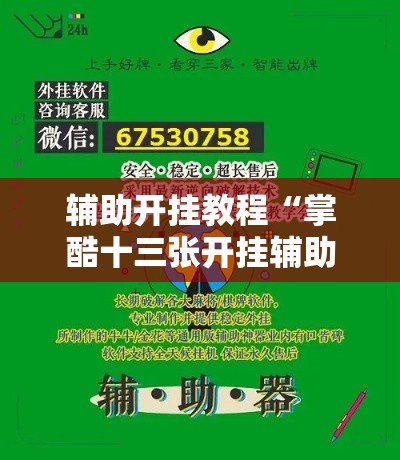 辅助开挂教程“掌酷十三张开挂辅助软件工具”确实果然有挂
