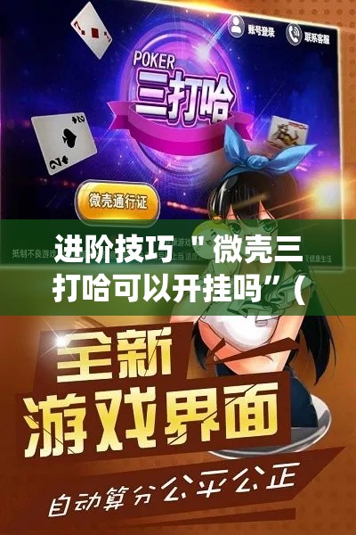 进阶技巧 ＂微壳三打哈可以开挂吗”(确实有挂)