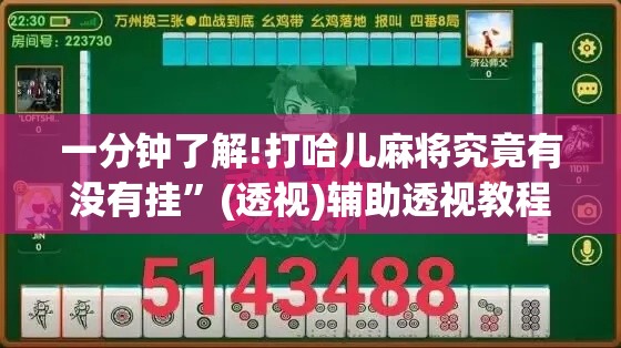 一分钟了解!打哈儿麻将究竟有没有挂”(透视)辅助透视教程