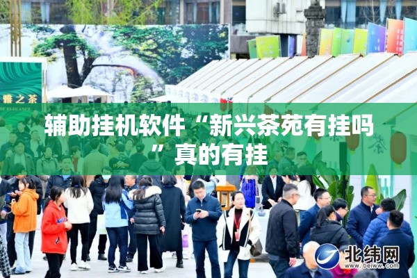 辅助挂机软件“新兴茶苑有挂吗”真的有挂