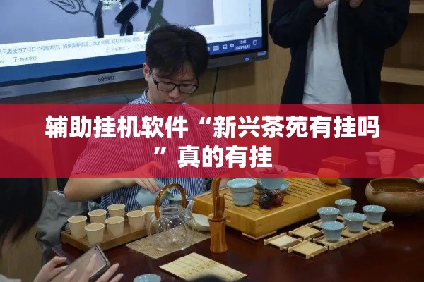 辅助挂机软件“新兴茶苑有挂吗”真的有挂