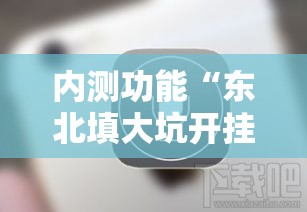 内测功能“东北填大坑开挂是不是真的	”开挂科技辅助神器手机