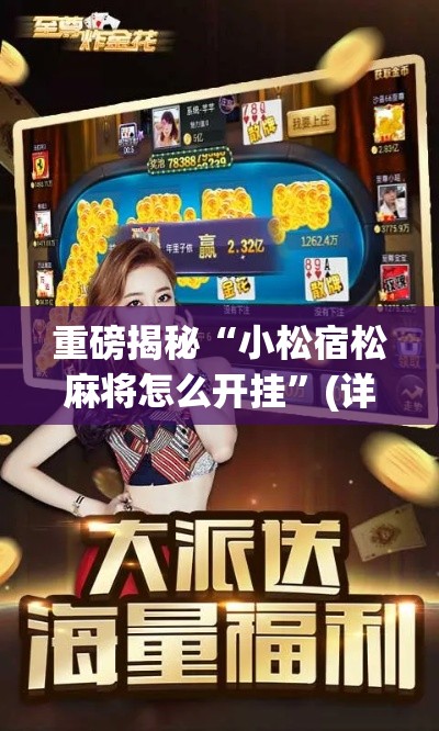 重磅揭秘“小松宿松麻将怎么开挂”(详细辅助脚本)