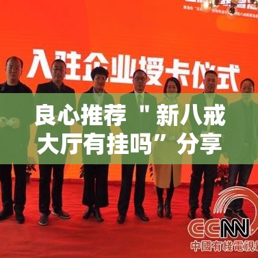 良心推荐 ＂新八戒大厅有挂吗	”分享用挂教程