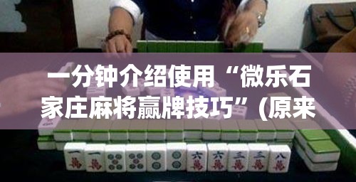 一分钟介绍使用“微乐石家庄麻将赢牌技巧”(原来确实是有插件)