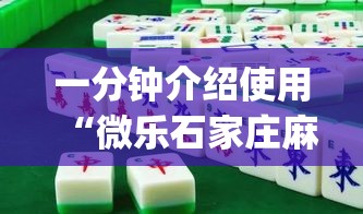 一分钟介绍使用“微乐石家庄麻将赢牌技巧	”(原来确实是有插件)