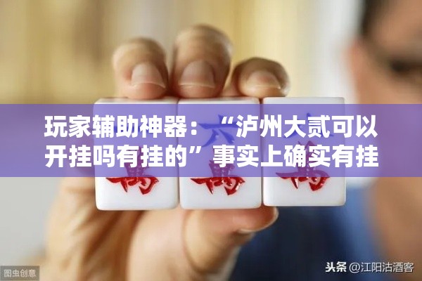 玩家辅助神器：“泸州大贰可以开挂吗有挂的”事实上确实有挂