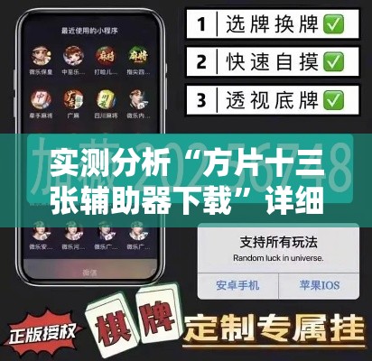 实测分析“方片十三张辅助器下载”详细透视辅助教程官方正版下载