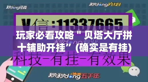 玩家必看攻略＂贝塔大厅拼十辅助开挂”(确实是有挂)知乎