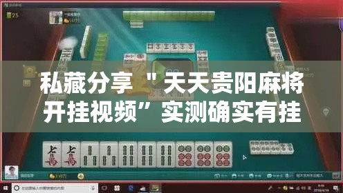 私藏分享 ＂天天贵阳麻将开挂视频	”实测确实有挂