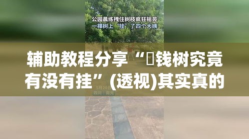 辅助教程分享“揺钱树究竟有没有挂”(透视)其实真的有挂