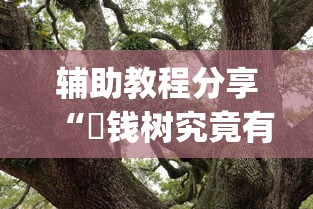 辅助教程分享“揺钱树究竟有没有挂”(透视)其实真的有挂