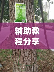 辅助教程分享“揺钱树究竟有没有挂”(透视)其实真的有挂