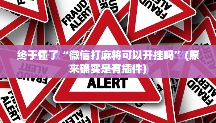 终于懂了“微信打麻将可以开挂吗”(原来确实是有插件)
