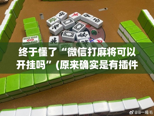 终于懂了“微信打麻将可以开挂吗”(原来确实是有插件)