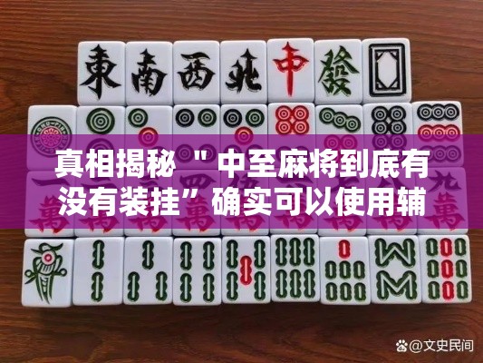真相揭秘 ＂中至麻将到底有没有装挂”确实可以使用辅助