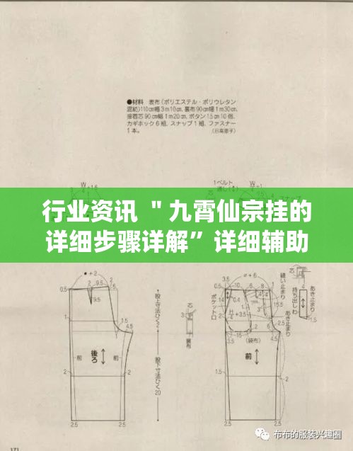 行业资讯 ＂九霄仙宗挂的详细步骤详解”详细辅助教程分享