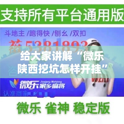 给大家讲解“微乐陕西挖坑怎样开挂	”详细分享装挂步骤教程