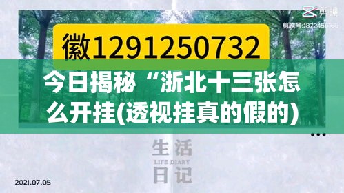 今日揭秘“浙北十三张怎么开挂(透视挂真的假的)