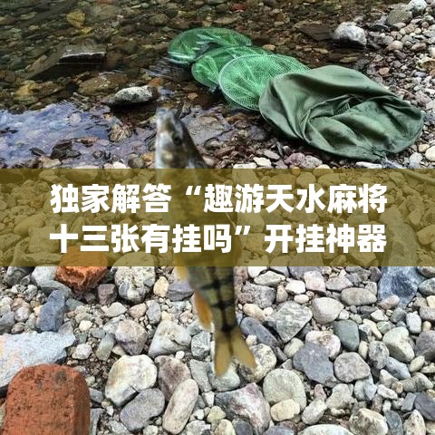 独家解答“趣游天水麻将十三张有挂吗”开挂神器{透视辅助}全揭秘