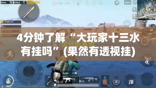 4分钟了解“大玩家十三水有挂吗”(果然有透视挂)