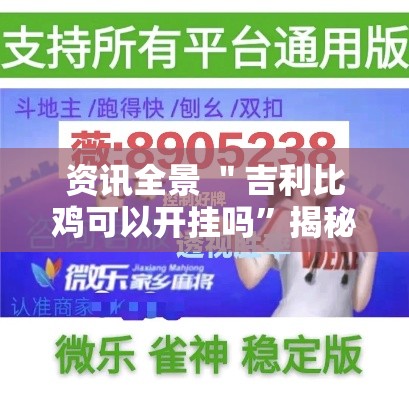 资讯全景 ＂吉利比鸡可以开挂吗”揭秘透视辅助万能挂