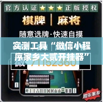 实测工具“微信小程序家乡大贰开挂器”(透视挂)详细用法教程