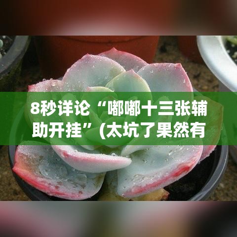 8秒详论“嘟嘟十三张辅助开挂”(太坑了果然有挂)