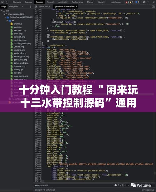 十分钟入门教程 ＂闲来玩十三水带控制源码”通用版下载教程