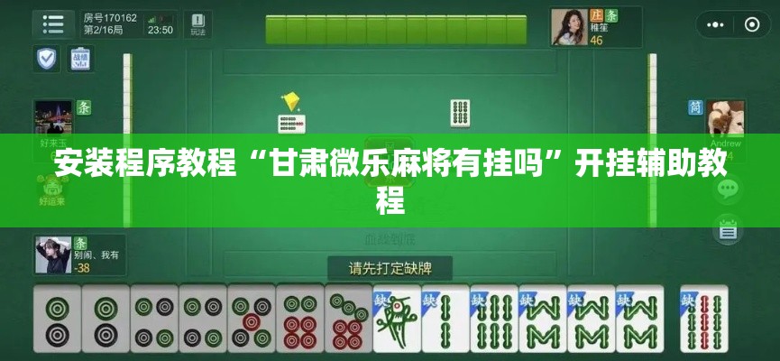 安装程序教程“甘肃微乐麻将有挂吗	”开挂辅助教程