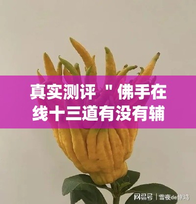 真实测评 ＂佛手在线十三道有没有辅助挂[确实真的有挂]